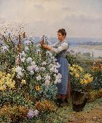 Daniel Ridgeway Knight Chrysanthemums oil painting reproduction